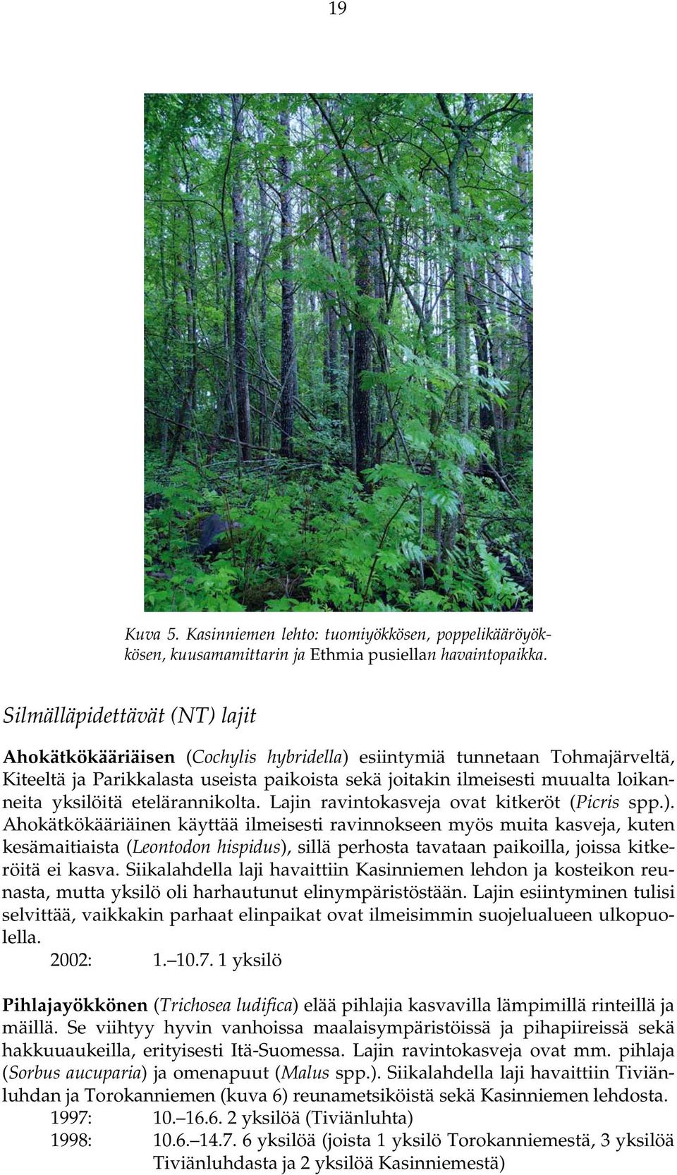 yksilöitä etelärannikolta. Lajin ravintokasveja ovat kitkeröt (Picris spp.).