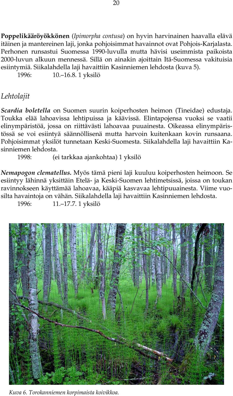 Siikalahdella laji havaittiin Kasinniemen lehdosta (kuva 5). 1996: 10. 16.8. 1 yksilö Lehtolajit Scardia boletella on Suomen suurin koiperhosten heimon (Tineidae) edustaja.