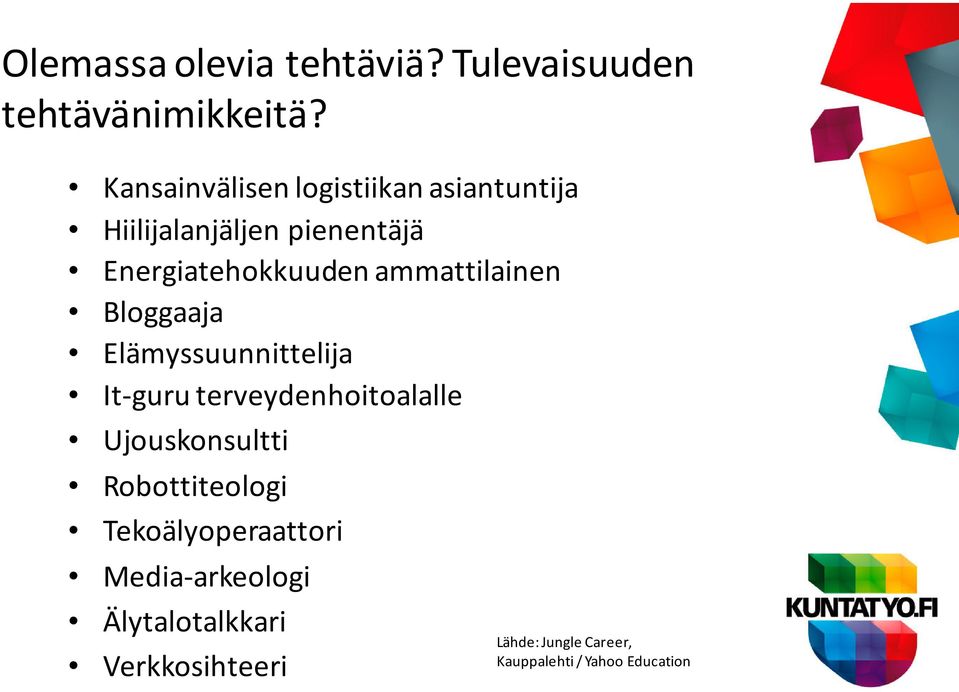 ammattilainen Bloggaaja Elämyssuunnittelija It-guru terveydenhoitoalalle Ujouskonsultti