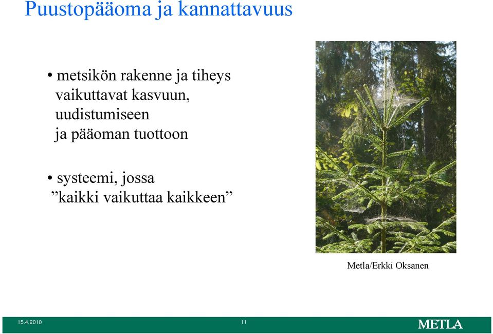 ja pääoman tuottoon systeemi, jossa kaikki