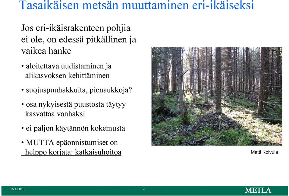 suojuspuuhakkuita, pienaukkoja?