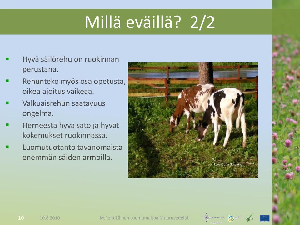 Valkuaisrehun saatavuus ongelma.