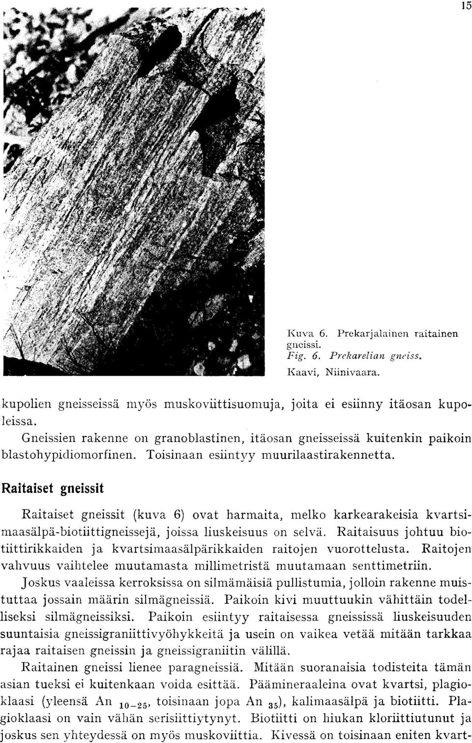 kvartsimaasalpa-biotiittigneisseja, joissa liuskeisuus on selva Raitaisuus johtuu biotiittirikkaiden ja kvartsimaasalparikkaiden raitojen vuorottelusta Raitojen vahvuus vaihtelee muutamasta