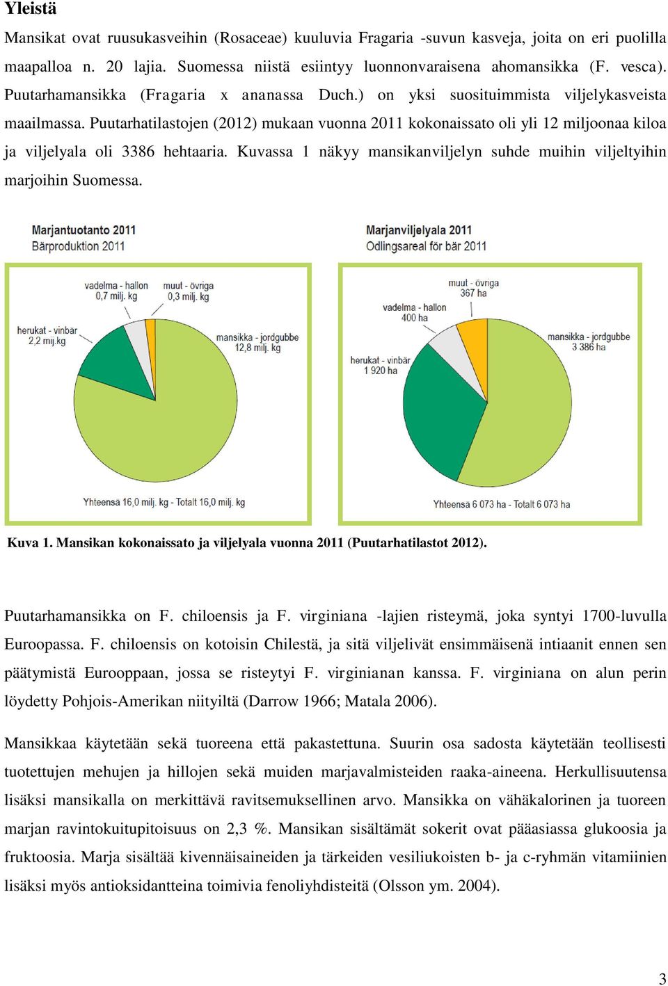 Puutarhatilastojen (2012) mukaan vuonna 2011 kokonaissato oli yli 12 miljoonaa kiloa ja viljelyala oli 3386 hehtaaria. Kuvassa 1 näkyy mansikanviljelyn suhde muihin viljeltyihin marjoihin Suomessa.