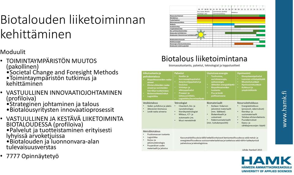 johtaminen ja talous yritysten innovaatioprosessit VASTUULLINEN JA KESTÄVÄ LIIKETOIMINTA BIOTALOUDESSA (profiloiva)