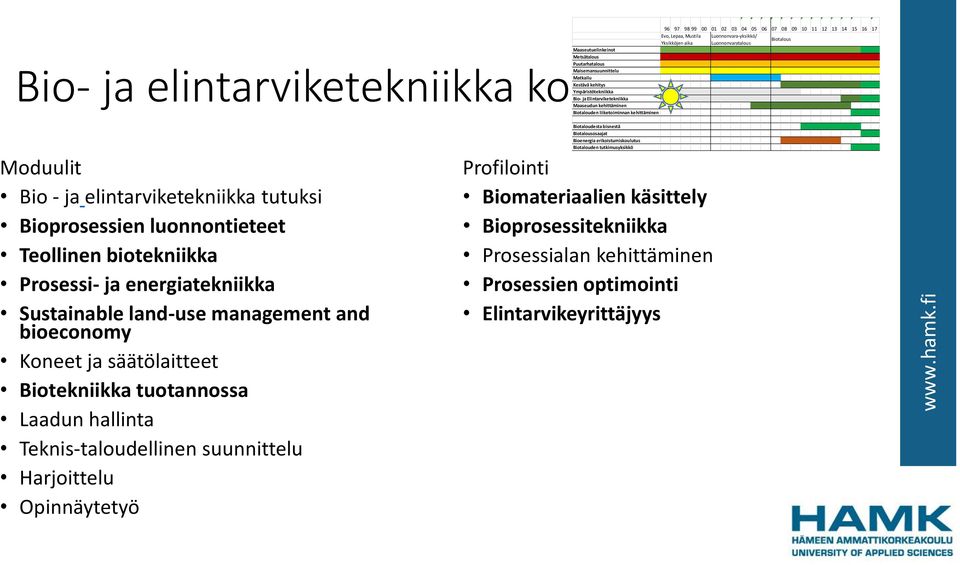 säätölaitteet Biotekniikka tuotannossa Laadun hallinta Teknis-taloudellinen suunnittelu Harjoittelu Opinnäytetyö