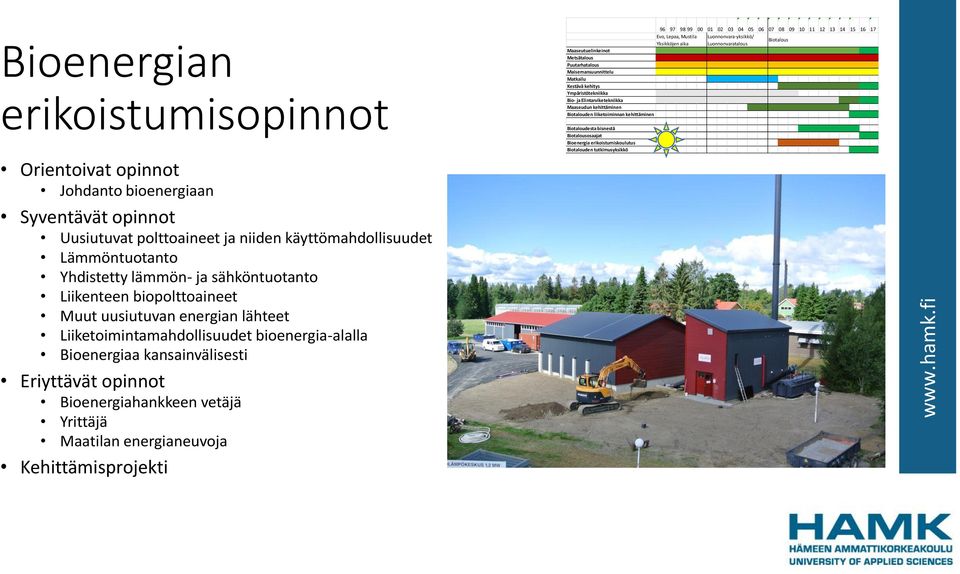 biopolttoaineet Muut uusiutuvan energian lähteet Liiketoimintamahdollisuudet bioenergia-alalla Bioenergiaa