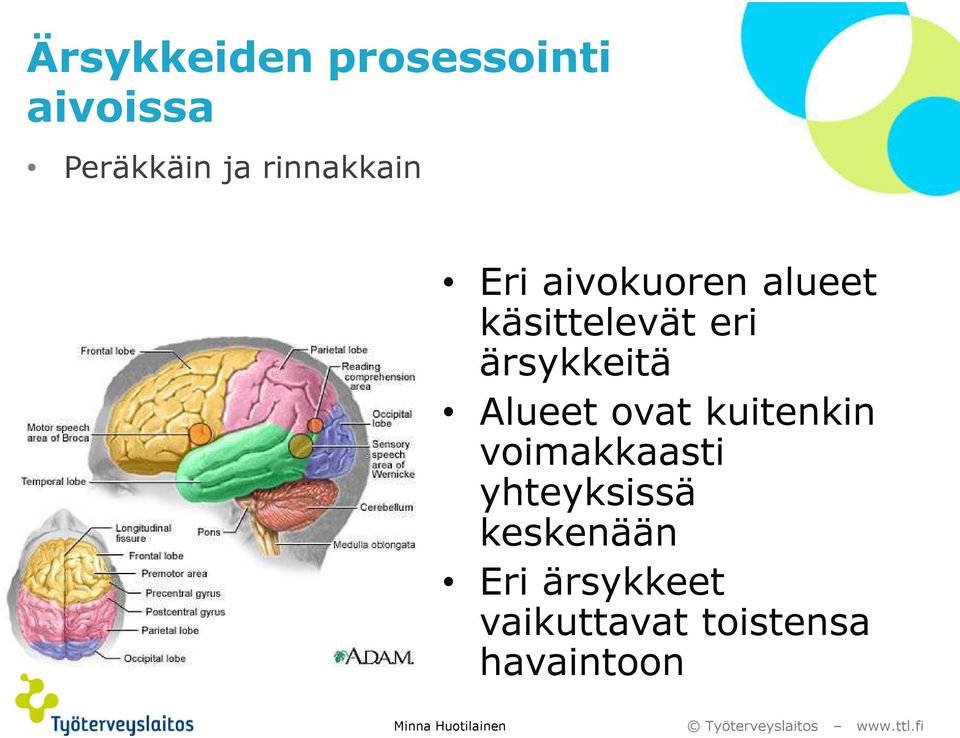 ärsykkeitä Alueet ovat kuitenkin voimakkaasti