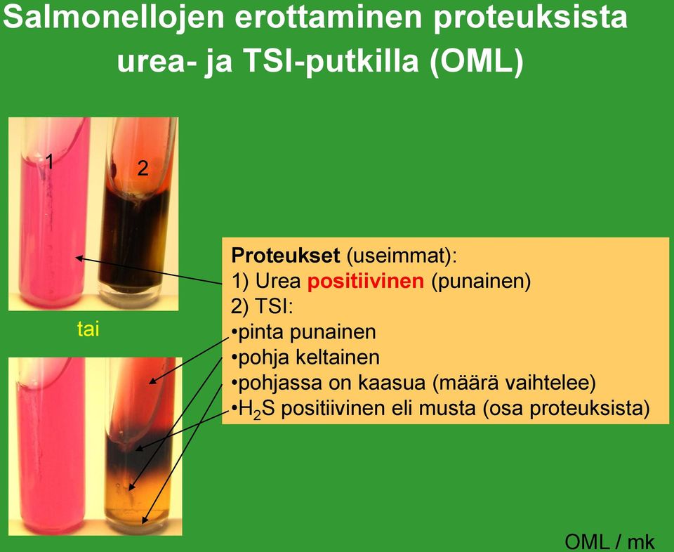 (punainen) 2) TSI: pinta punainen pohja keltainen pohjassa on