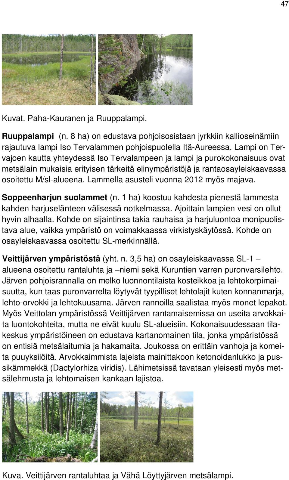 Lammella asusteli vuonna 2012 myös majava. Soppeenharjun suolammet (n. 1 ha) koostuu kahdesta pienestä lammesta kahden harjuselänteen välisessä notkelmassa.