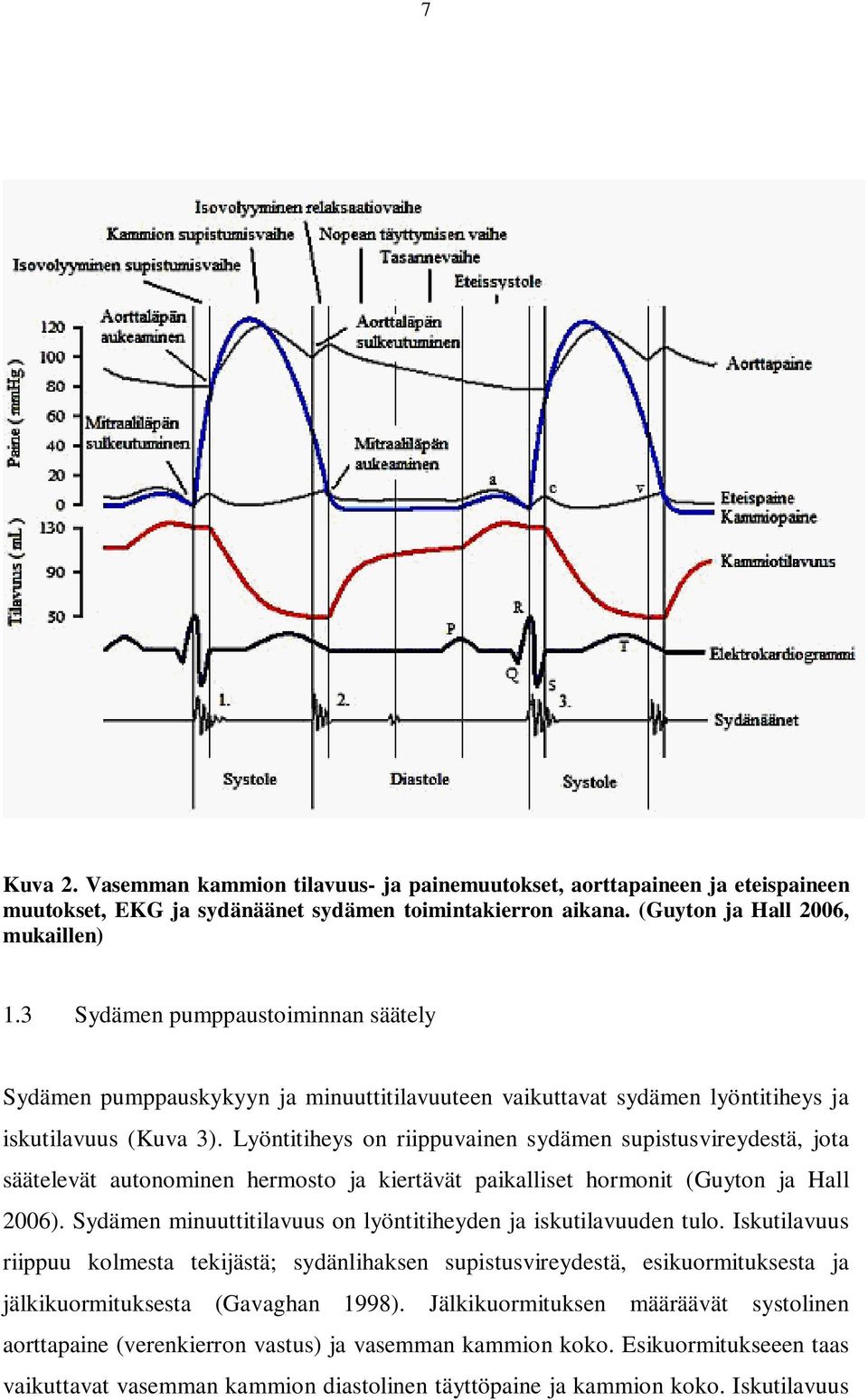 Lyöntitiheys on riippuvainen sydämen supistusvireydestä, jota säätelevät autonominen hermosto ja kiertävät paikalliset hormonit (Guyton ja Hall 2006).