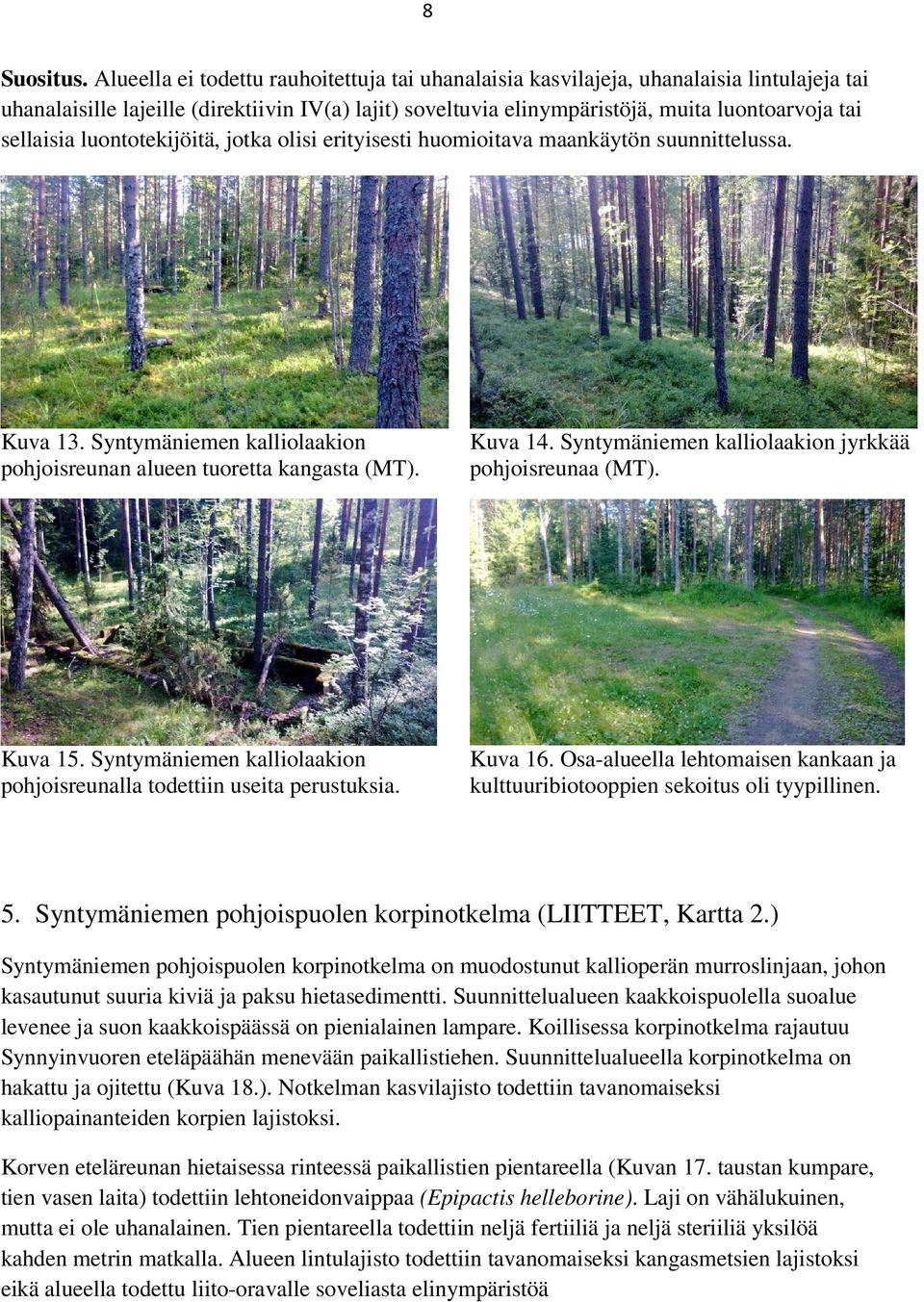 sellaisia luontotekijöitä, jotka olisi erityisesti huomioitava maankäytön suunnittelussa. Kuva 13. Syntymäniemen kalliolaakion pohjoisreunan alueen tuoretta kangasta (MT). Kuva 14.