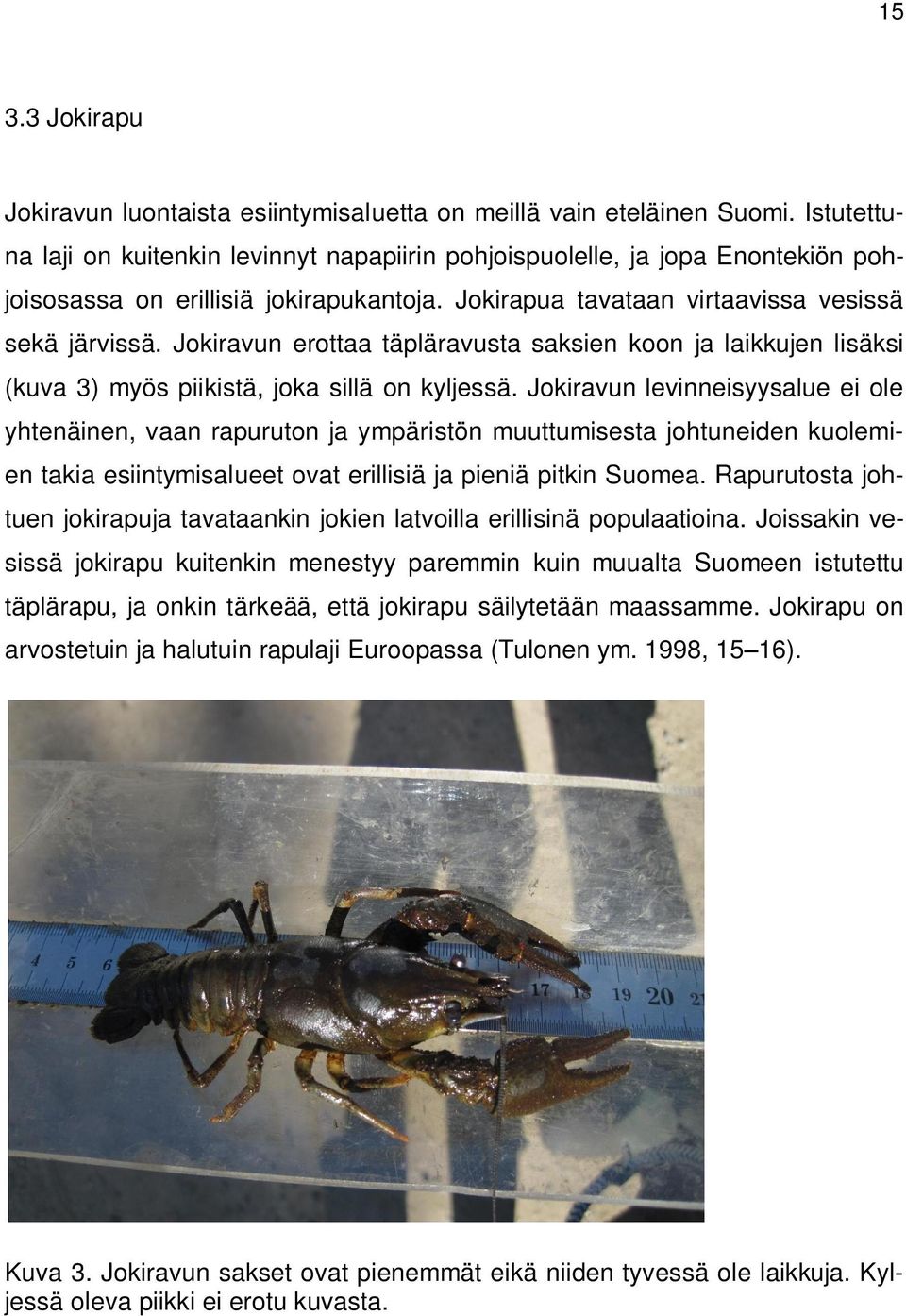 Jokiravun erottaa täpläravusta saksien koon ja laikkujen lisäksi (kuva 3) myös piikistä, joka sillä on kyljessä.