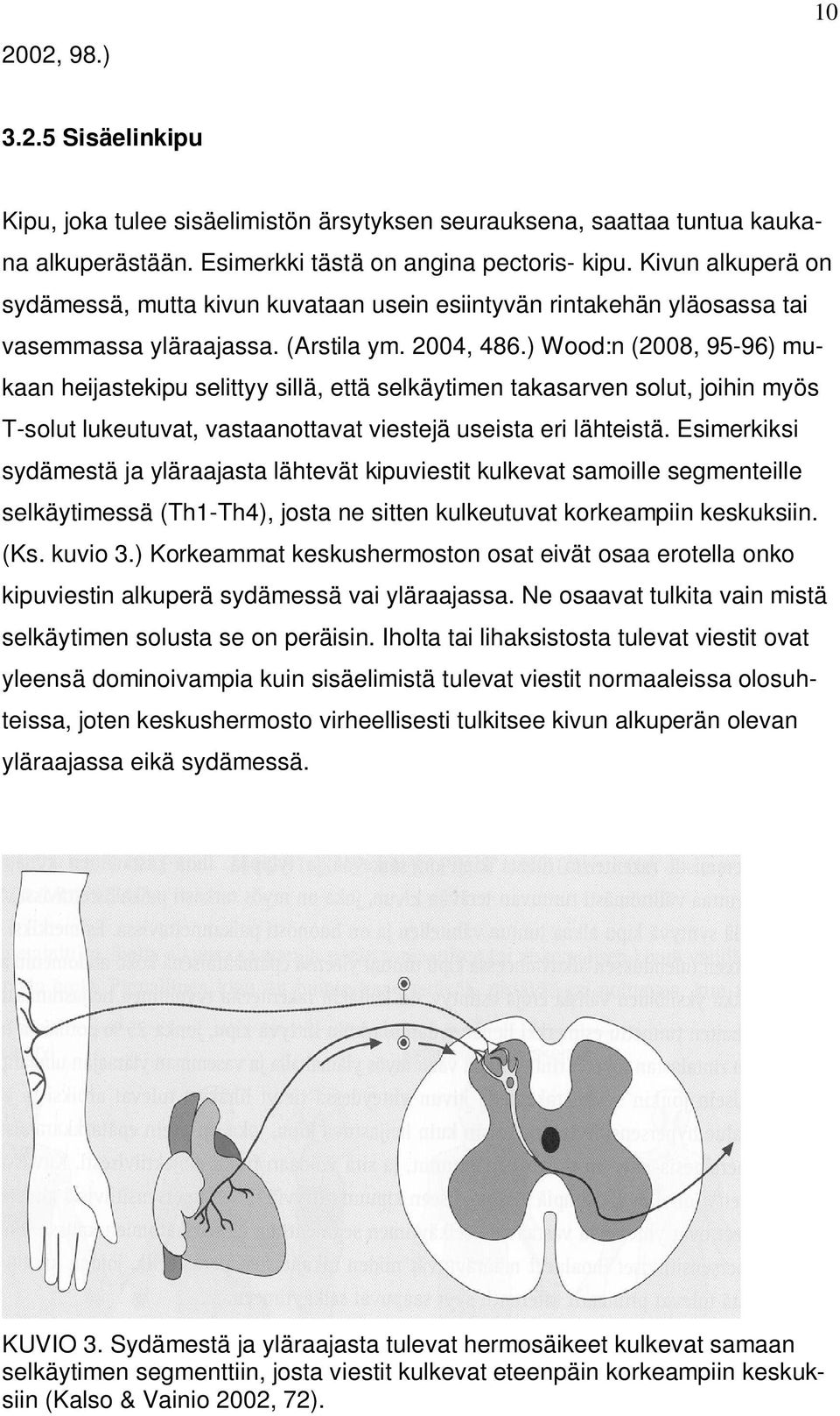 ) Wood:n (2008, 95-96) mukaan heijastekipu selittyy sillä, että selkäytimen takasarven solut, joihin myös T-solut lukeutuvat, vastaanottavat viestejä useista eri lähteistä.