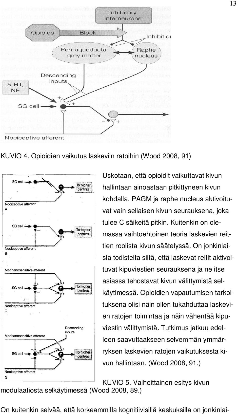 On jonkinlaisia todisteita siitä, että laskevat reitit aktivoituvat kipuviestien seurauksena ja ne itse asiassa tehostavat kivun välittymistä selkäytimessä.