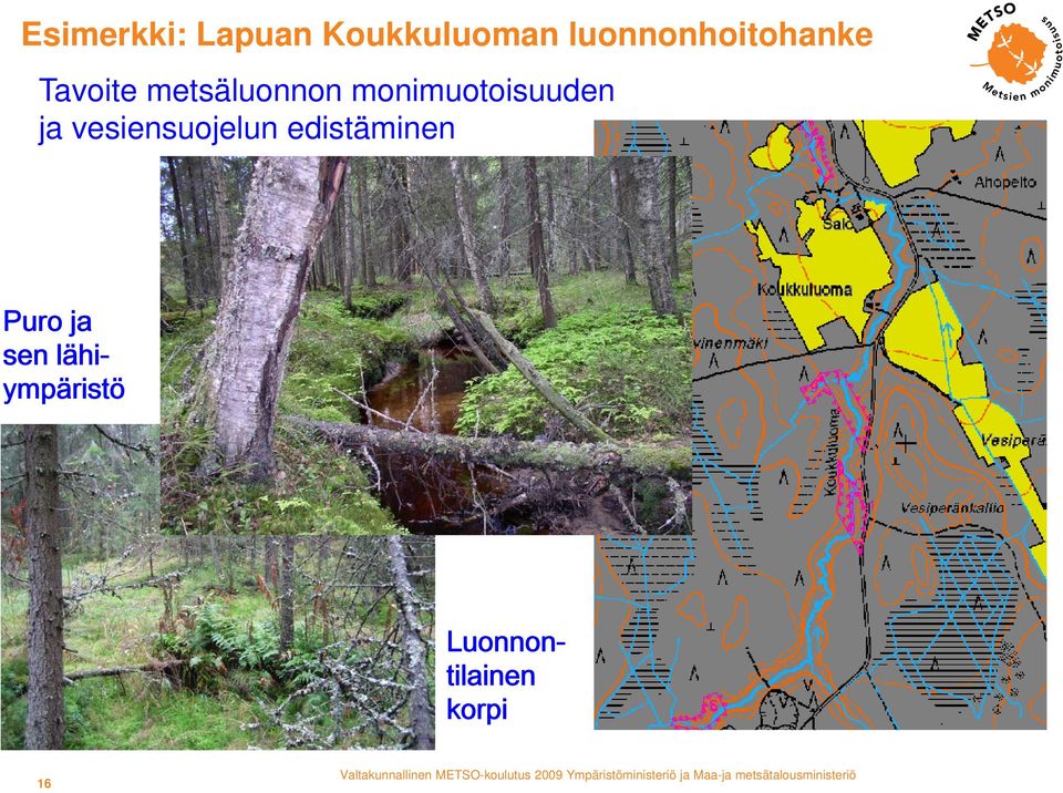 monimuotoisuuden ja vesiensuojelun