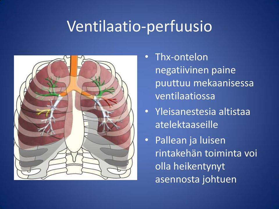 Yleisanestesia altistaa atelektaaseille Pallean ja