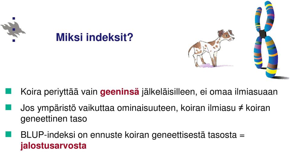 ilmiasuaan Jos ympäristö vaikuttaa ominaisuuteen, koiran