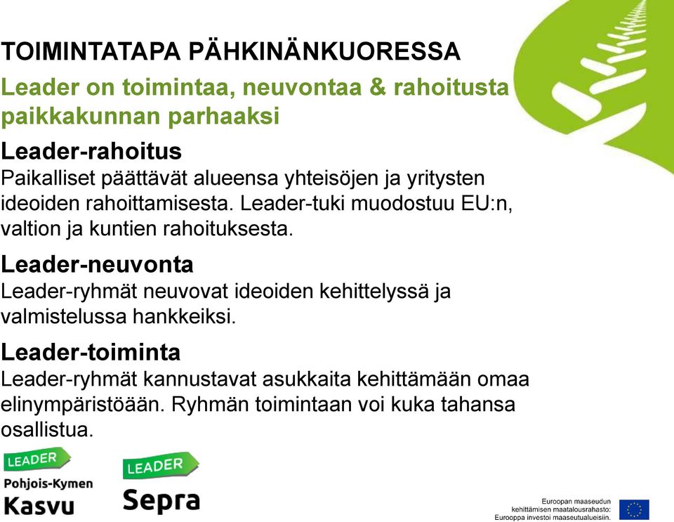 Leader-tuki muodostuu EU:n, valtion ja kuntien rahoituksesta.