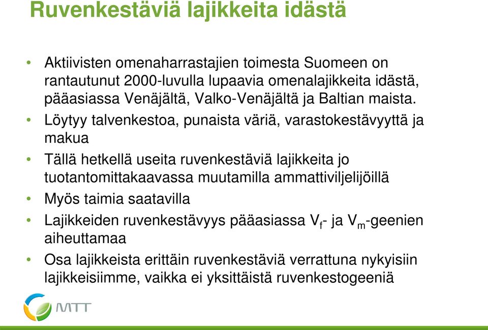 Löytyy talvenkestoa, punaista väriä, varastokestävyyttä ja makua Tällä hetkellä useita ruvenkestäviä lajikkeita jo tuotantomittakaavassa