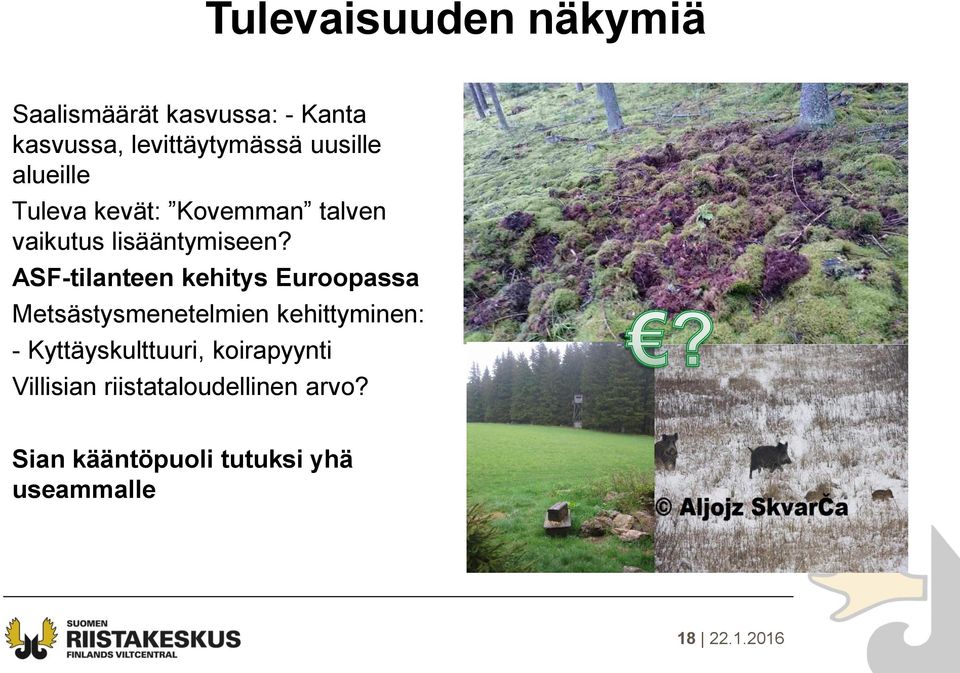 ASF-tilanteen kehitys Euroopassa Metsästysmenetelmien kehittyminen: -