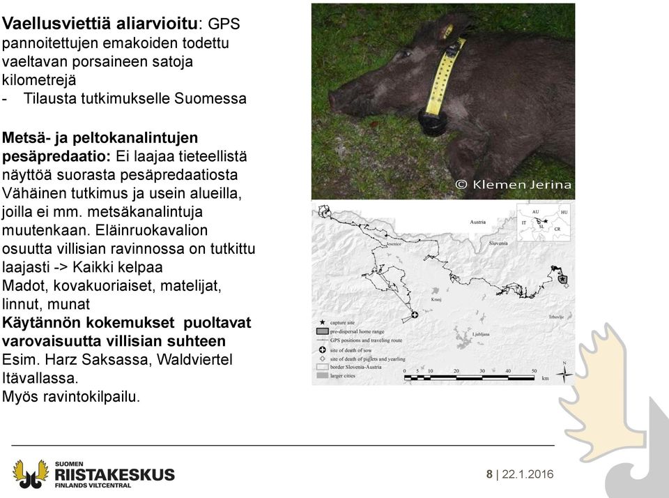 metsäkanalintuja muutenkaan.