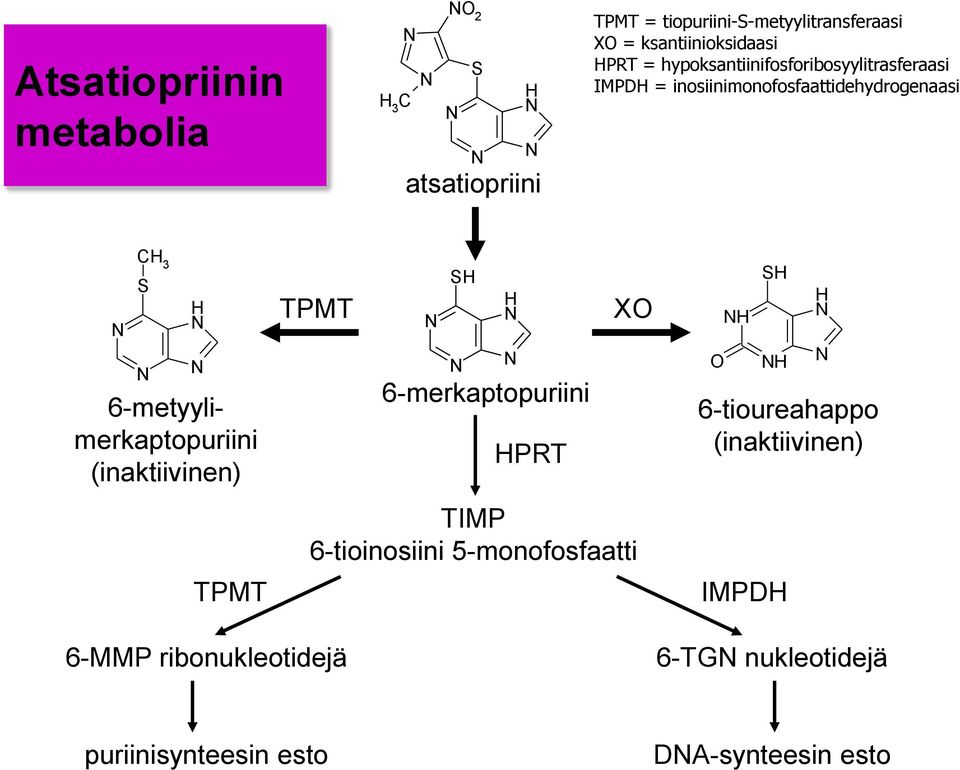 3 S 6-metyylimerkaptopuriini (inaktiivinen) TPMT TPMT S 6-merkaptopuriini PRT XO TIMP 6-tioinosiini