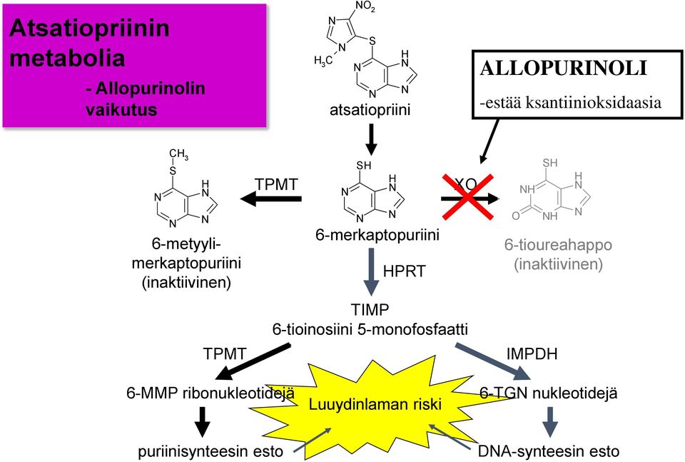 6-merkaptopuriini PRT XO TIMP 6-tioinosiini 5-monofosfaatti O S 6-tioureahappo