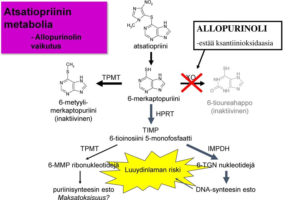 PRT XO TIMP 6-tioinosiini 5-monofosfaatti O S 6-tioureahappo (inaktiivinen) IMPD 6-MMP