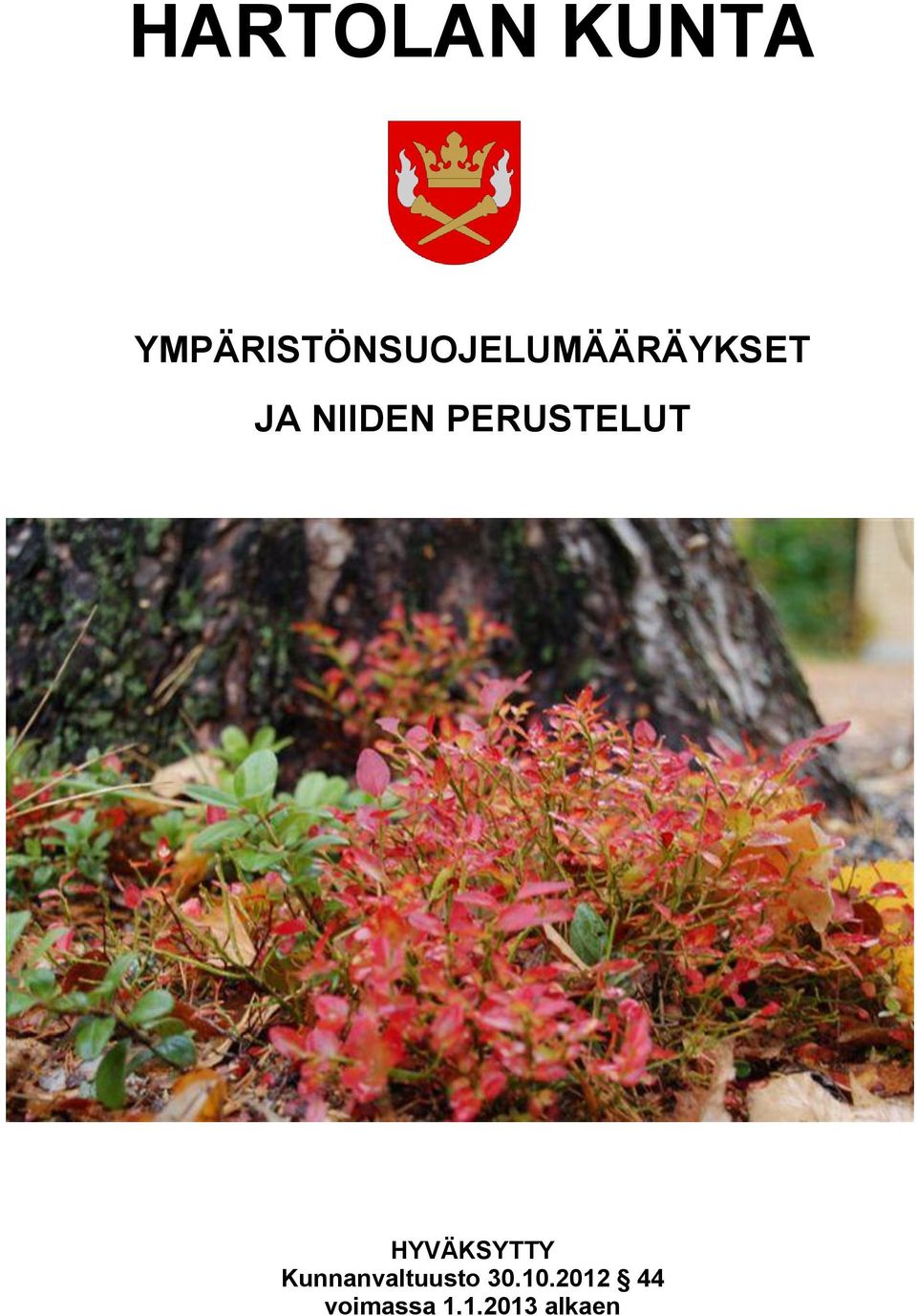 NIIDEN PERUSTELUT HYVÄKSYTTY