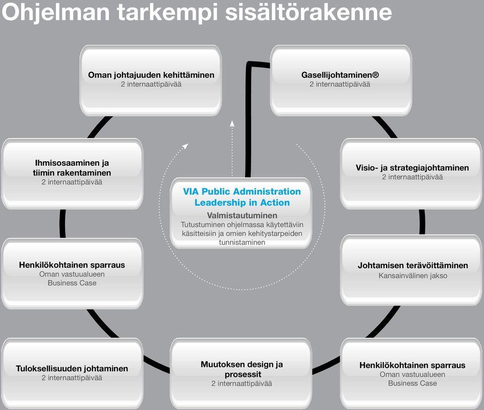 tunnistaminen Visio- ja strategiajohtaminen Henkilökohtainen sparraus Oman vastuualueen Business Case Johtamisen terävöittäminen