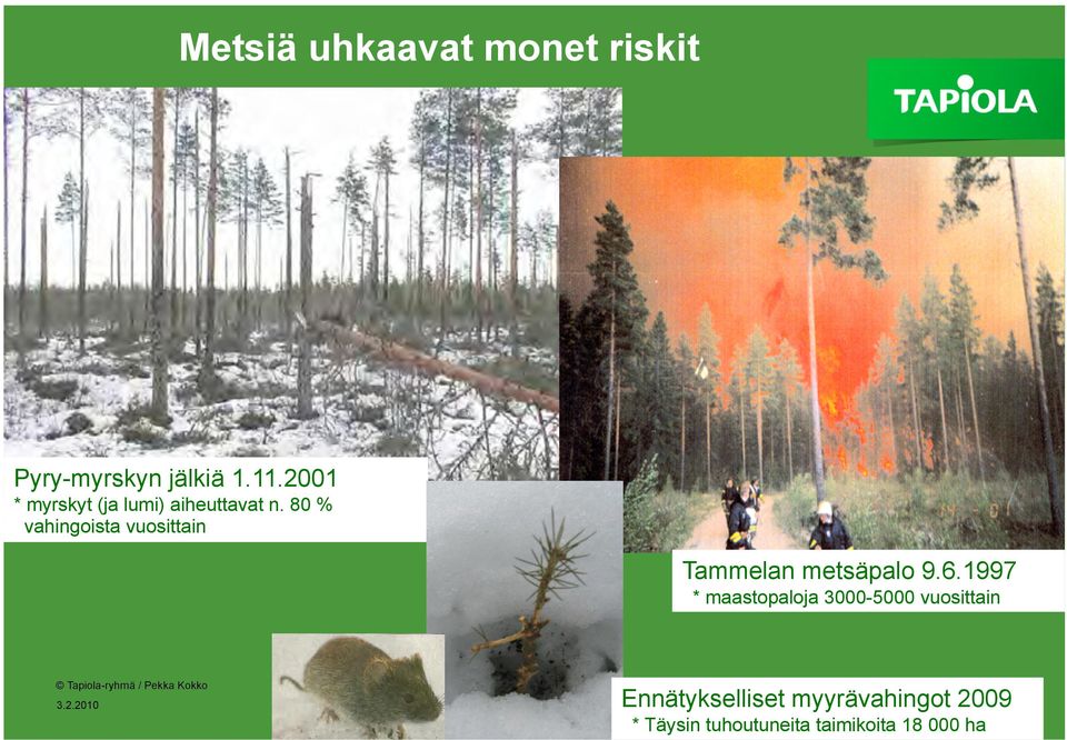 80 % vahingoista vuosittain Tammelan metsäpalo 9.6.