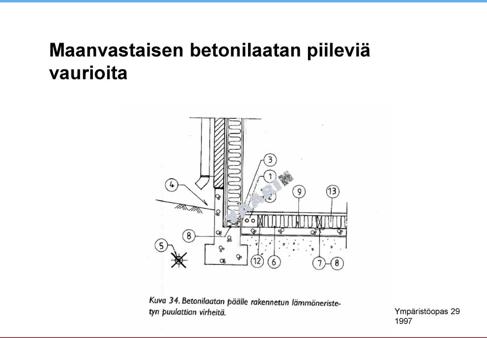 piileviä