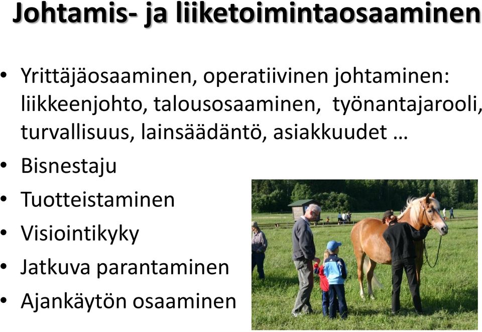 työnantajarooli, turvallisuus, lainsäädäntö, asiakkuudet