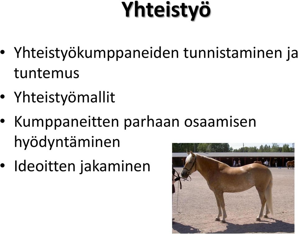 Yhteistyömallit Kumppaneitten