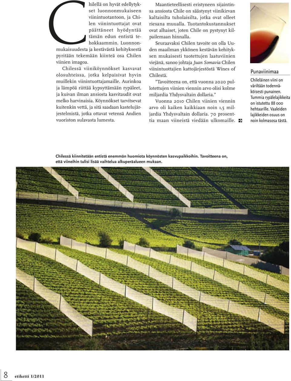 Chilessä viiniköynnökset kasvavat olosuhteissa, jotka kelpaisivat hyvin muillekin viinintuottajamaille.
