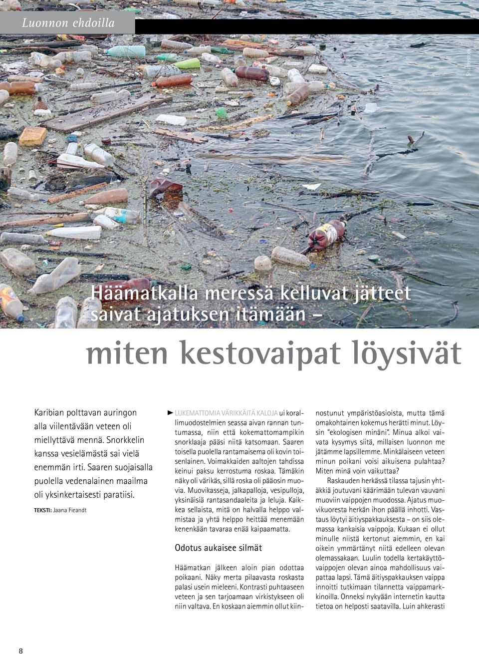 En koskaan aiemmin ollut kiinmiten kestovaipat löysivät Karibian polttavan auringon alla viilentävään veteen oli miellyttävä mennä. Snorkkelin kanssa vesielämästä sai vielä enemmän irti.