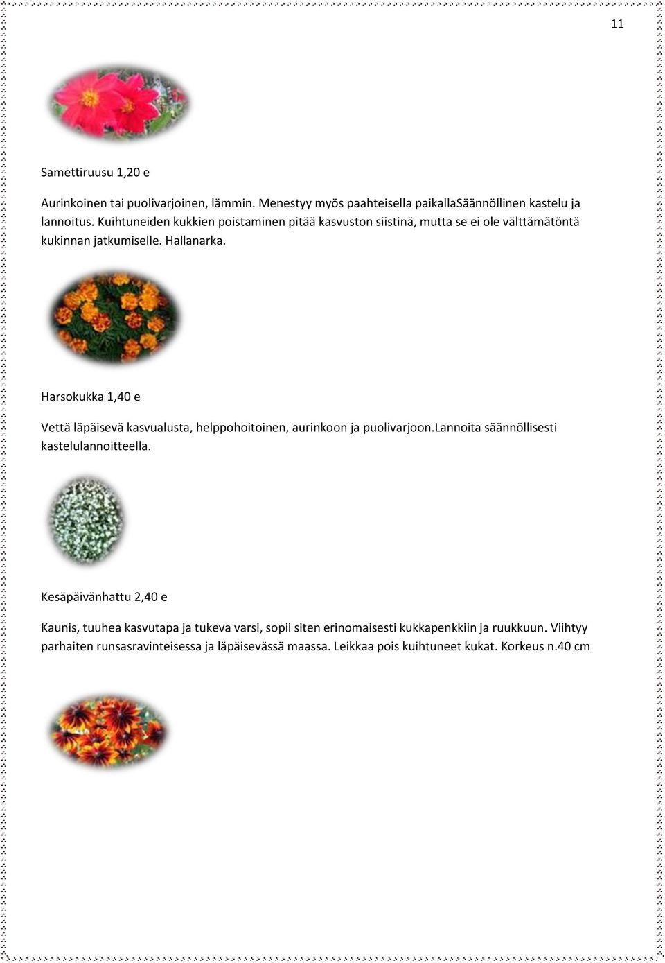 Harsokukka 1,40 e Vettä läpäisevä kasvualusta, helppohoitoinen, aurinkoon ja puolivarjoon.lannoita säännöllisesti kastelulannoitteella.