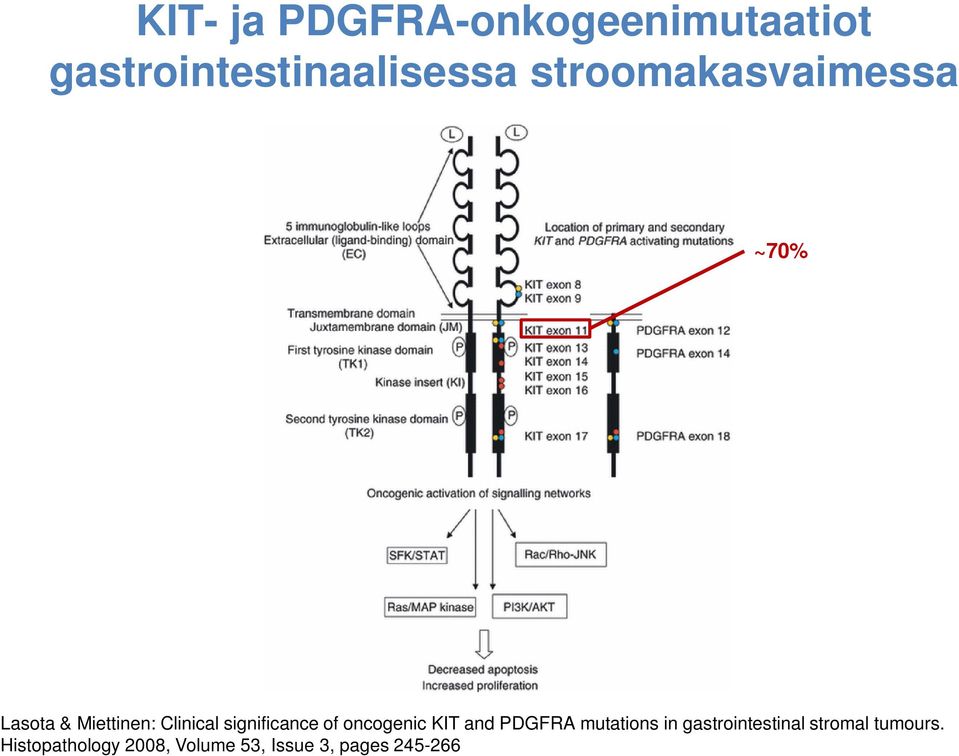 significance of oncogenic KIT and PDGFRA mutations in