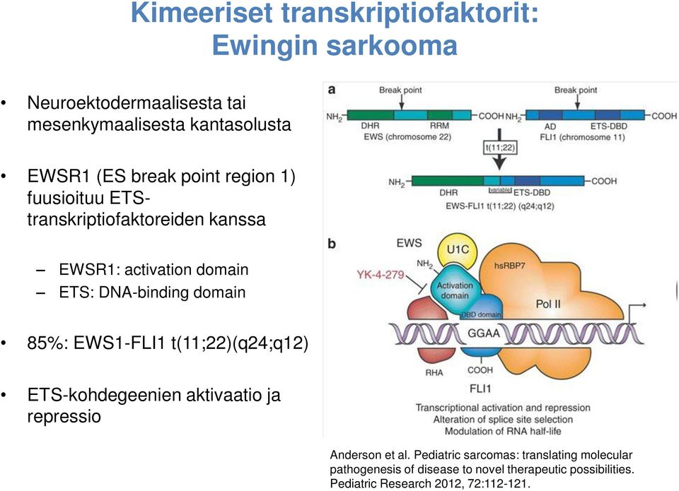 domain 85%: EWS1-FLI1 t(11;22)(q24;q12) ETS-kohdegeenien aktivaatio ja repressio Anderson et al.