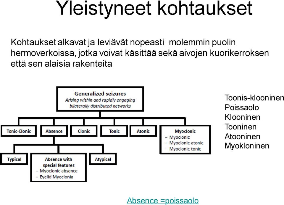 aivojen kuorikerroksen että sen alaisia rakenteita