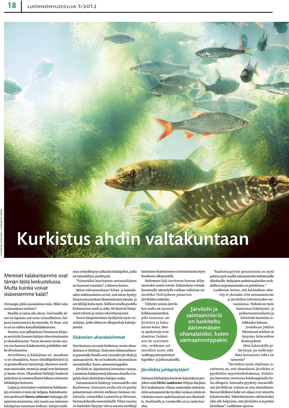 Ei ihme, että se on on valittu kansalliskalaksemme. Vuonna 2010 julkaistussa Punaisessa kirjassa arvioitiin Suomen kalojen elinvoimaisuutta ja uhanalaisuutta.