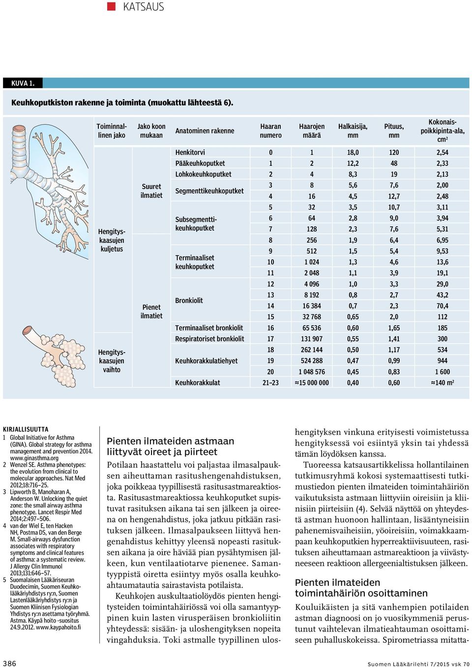 5 32 3,5 10,7 3,11 Subsegmenttikeuhkoputket 6 64 2,8 9,0 3,94 7 128 2,3 7,6 5,31 8 256 1,9 6,4 6,95 Hengityskaasujen vaihto Jako koon mukaan Suuret ilmatiet Pienet ilmatiet Anatominen rakenne Haaran