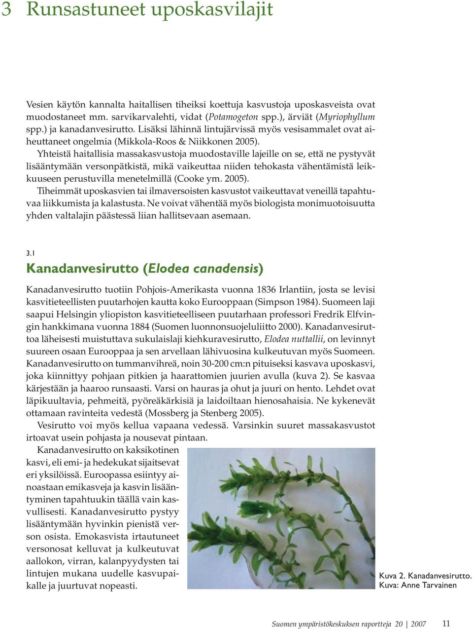 Yhteistä haitallisia massakasvustoja muodostaville lajeille on se, että ne pystyvät lisääntymään versonpätkistä, mikä vaikeuttaa niiden tehokasta vähentämistä leikkuuseen perustuvilla menetelmillä