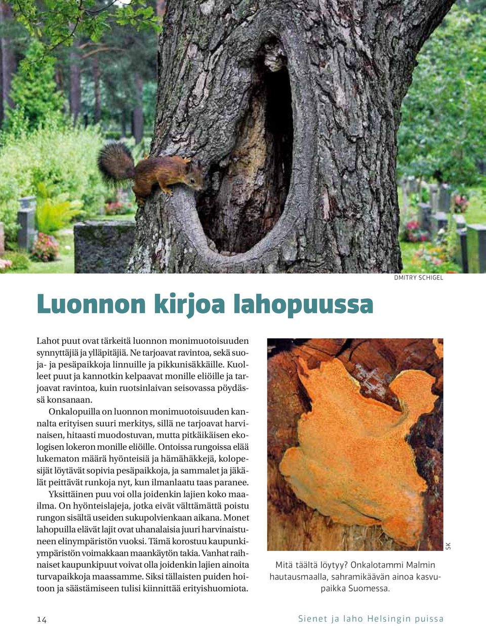 Onkalopuilla on luonnon monimuotoisuuden kannalta erityisen suuri merkitys, sillä ne tarjoavat harvinaisen, hitaasti muodostuvan, mutta pitkäikäisen ekologisen lokeron monille eliöille.