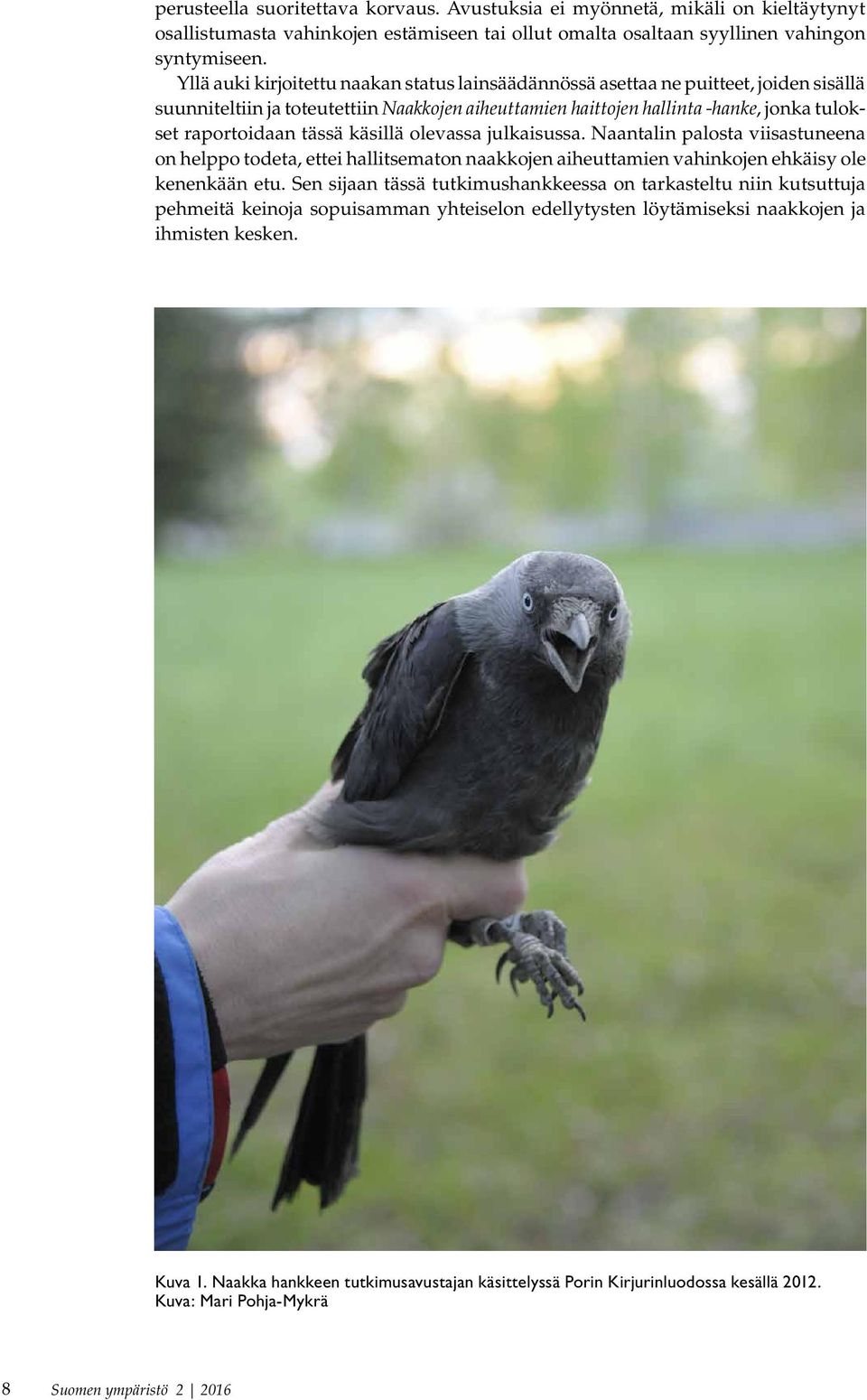 tässä käsillä olevassa julkaisussa. Naantalin palosta viisastuneena on helppo todeta, ettei hallitsematon naakkojen aiheuttamien vahinkojen ehkäisy ole kenenkään etu.
