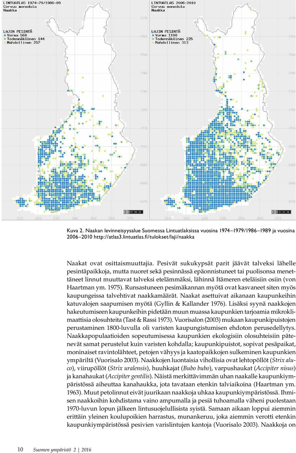 eteläisiin osiin (von Haartman ym. 1975). Runsastuneen pesimäkannan myötä ovat kasvaneet siten myös kaupungeissa talvehtivat naakkamäärät.