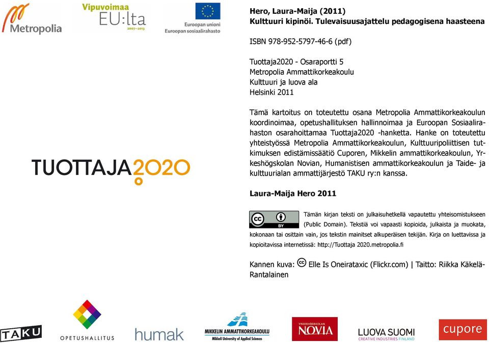 osana Metropolia Ammattikorkeakoulun koordinoimaa, opetushallituksen hallinnoimaa ja Euroopan Sosiaalirahaston osarahoittamaa Tuottaja2020 -hanketta.