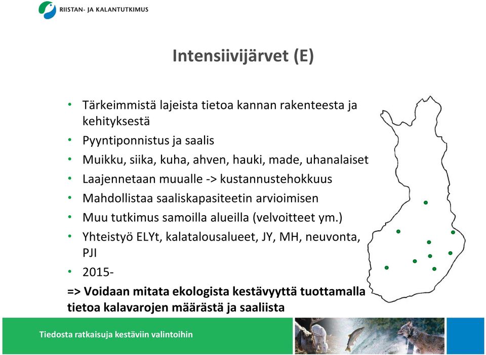 saaliskapasiteetin arvioimisen Muu tutkimus samoilla alueilla (velvoitteet ym.