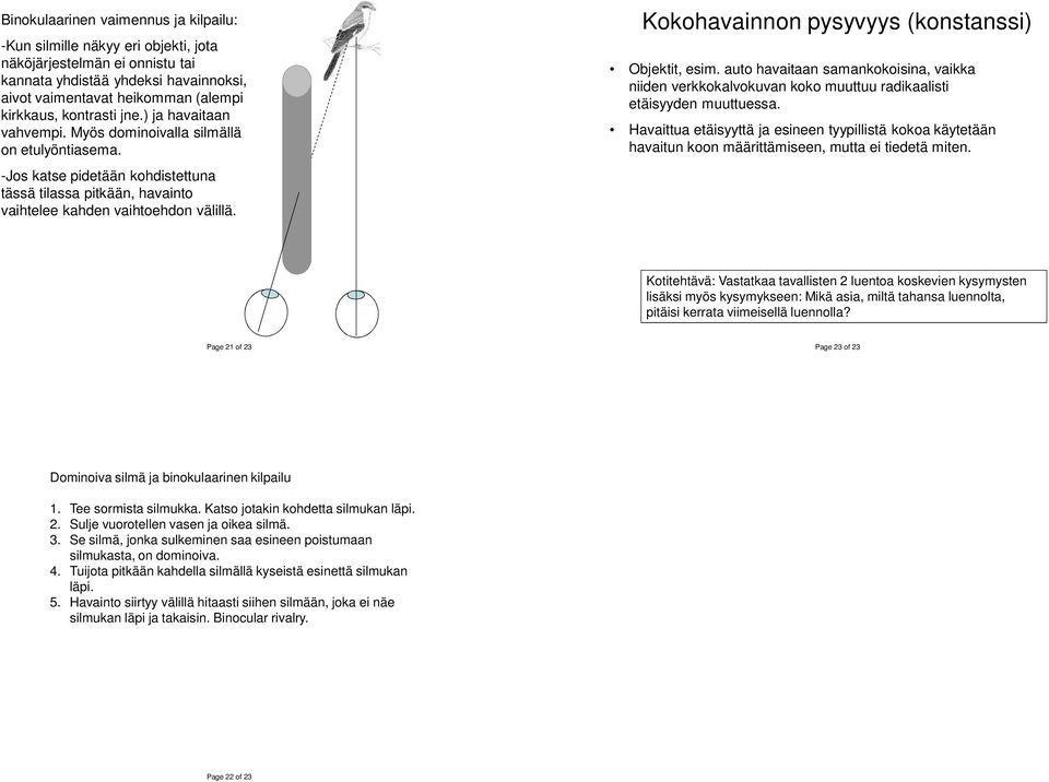 Kokohavainnon pysyvyys (konstanssi) Objektit, esim. auto havaitaan samankokoisina, vaikka niiden verkkokalvokuvan koko muuttuu radikaalisti etäisyyden muuttuessa.